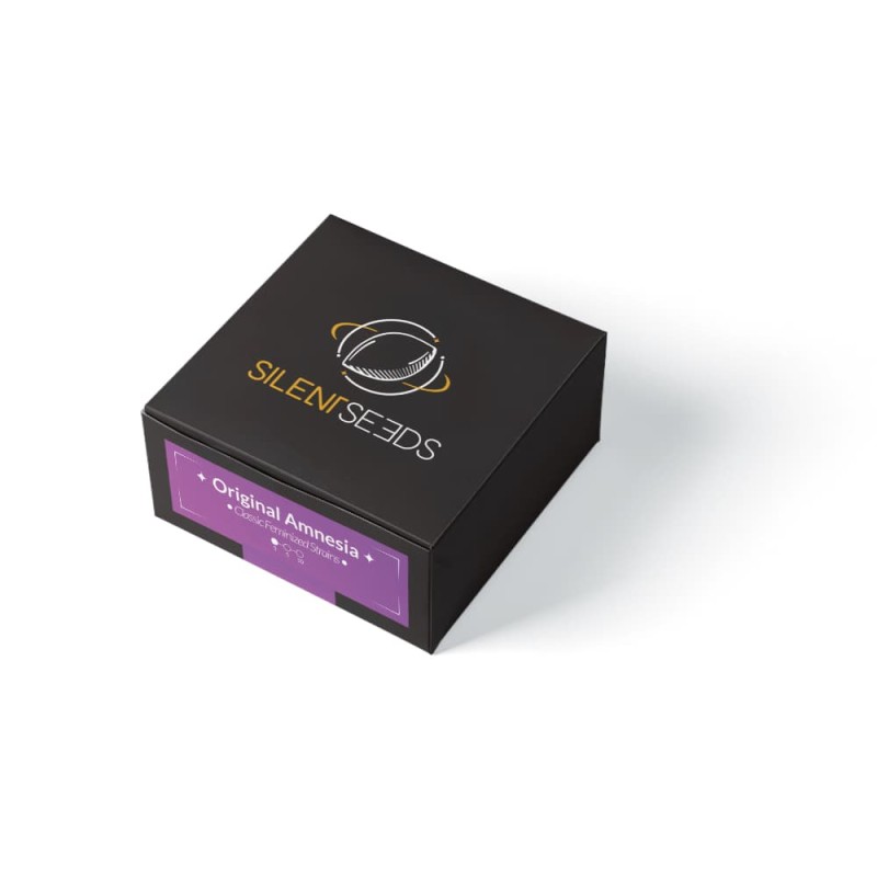 Original Amnesia: Legendary Sativa Seed | Silent Seeds