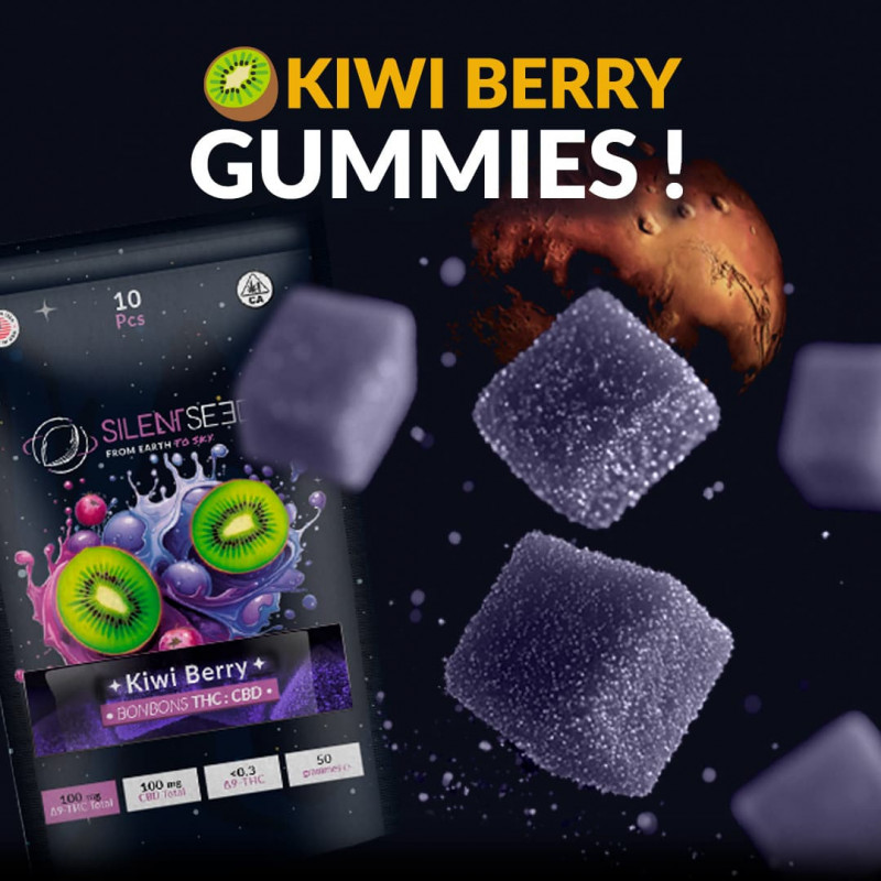 Kiwi Berry THC & CBD 1:1 Gummies – Silent Seeds