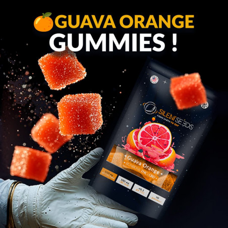 Gummies THC + CBD | Guava Orange