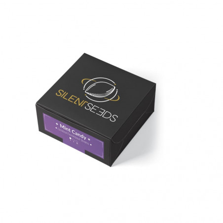 Mint Candy graines de cannabis - Silent Seeds