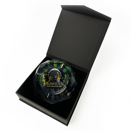 Astronaut crystal glass ashtray