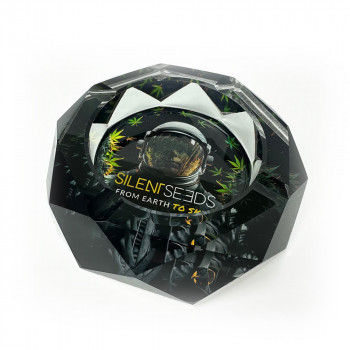 Cenicero Cosmonauta de cristal