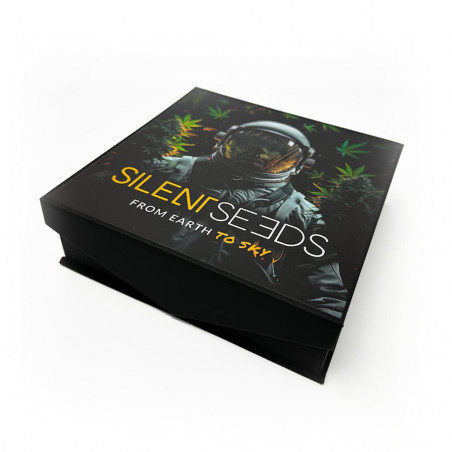 Cendrier en verre de cristal - Cosmonaute - Silent Seeds