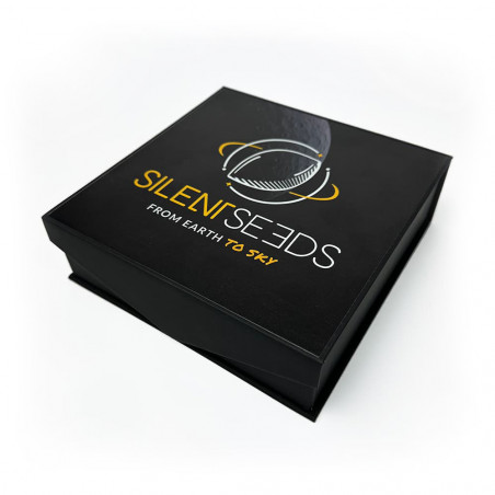 Cenicero Silent Seeds de cristal