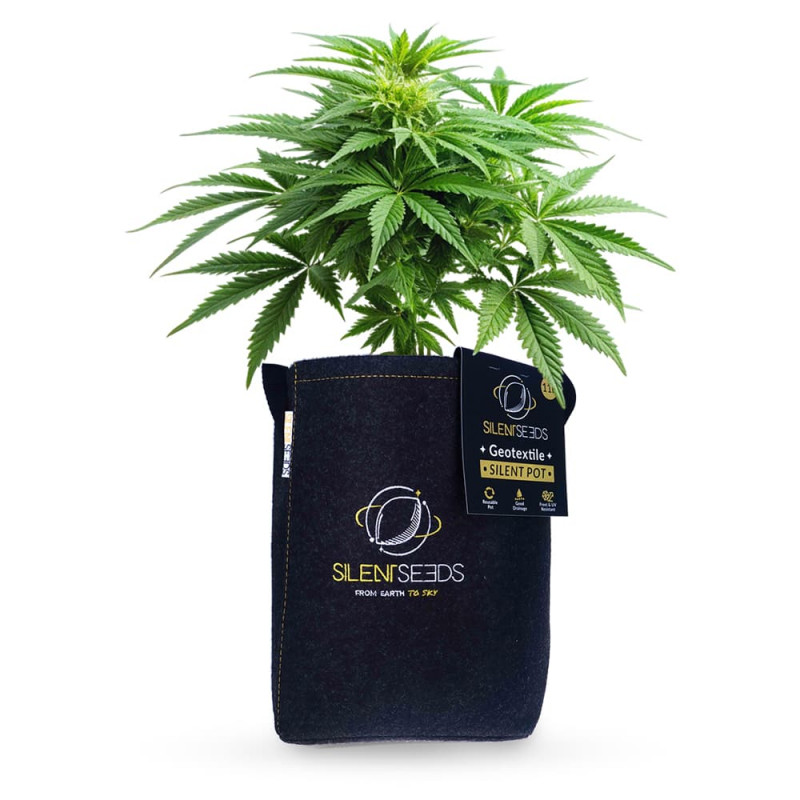 Silent Geotextile Pot Silent Seeds  —15L