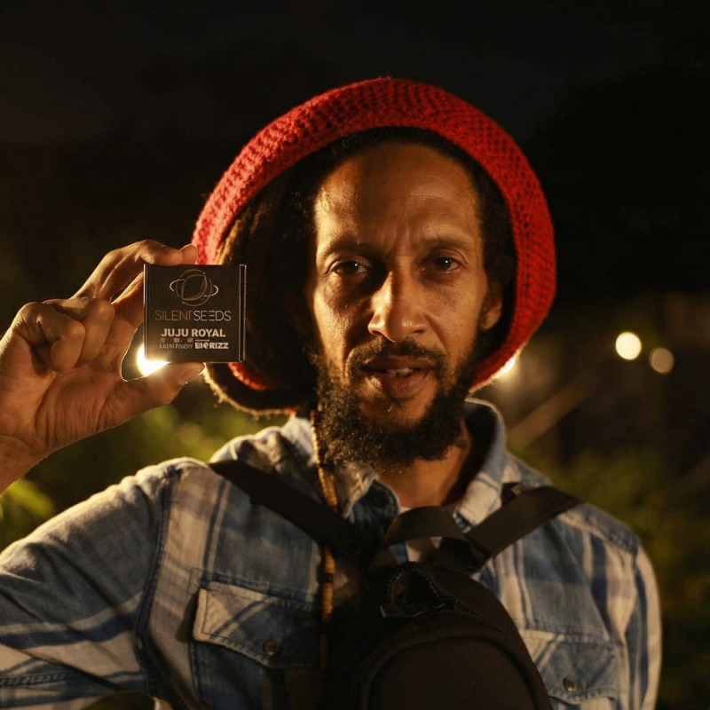 Julian Marley Special : Ultra-Premium Cannabis Seeds