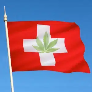 legislation cannabis suisse