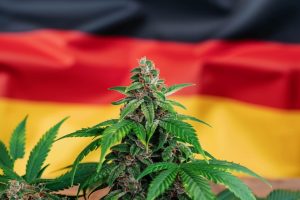 cannabis legalization deutschland